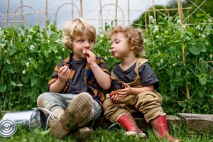 Moestuinieren voor Jonge Kinderen