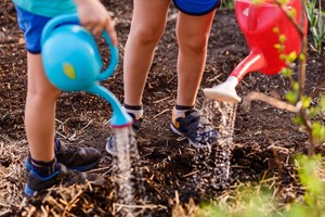Moestuinactiviteiten 6-12 jaar